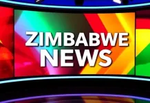 Zimbabwe Unveils Comprehensive Reintegration Plan for South Africa Returnees