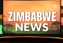 Zimbabwe Seeks Billions to Modernize Energy Sector and Shift Away From Hydropower Zimbabwe Seeks Billions to Modernize Energy Sector and Shift Away From Hydropower