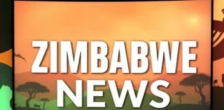 Zimbabwe Seeks Billions to Modernize Energy Sector and Shift Away From Hydropower Zimbabwe Seeks Billions to Modernize Energy Sector and Shift Away From Hydropower