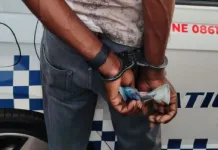 Musina Border Bribery Arrest: Zimbabwean National Detained After Attempting to Bribe Traffic Officer