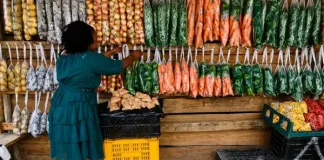 Wild Impact Secures Three-Year Investment to Empower More Rural Entrepreneurs