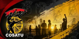South Africa Considers Domestic Worker Wage Hike Amid Minimum Wage Compliance Concerns, COSATU Says