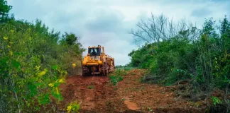 SEDFA and FNB Showcase R8.9 million Agricultural Project Enabled by Khula Credit Guarantee in Limpopo