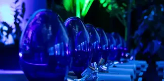 The Eco-Logic Award Finalists are Reshaping South Africa’s Future