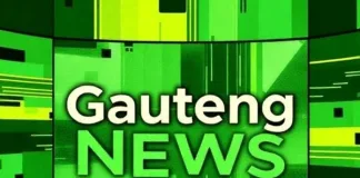 South Africa SRD Grant Appeal: Economist Warns of Youth Unemployment Crisis Ahead of Court Ruling