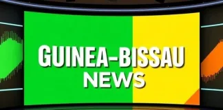 Guinea-Bissau Opposition PAIGC Calls for Boycott of Upcoming Constitutional Referendum