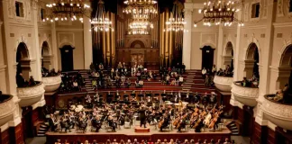 Mzansi Meets the World Mzansi Philharmonic with Maxim Vengerov on tour in South Africa Mzansi Meets the World Mzansi Philharmonic with Maxim Vengerov on tour in South Africa