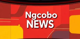 Ngcobo Protests Enter Day Three Over Dr AB Xuma Municipal Manager Resignation