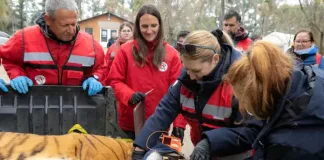 International rescue effort spanning three continents International rescue effort spanning three continents