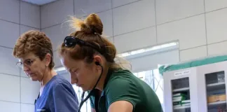 Compassion in Action Compassion in Action
