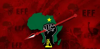 EFF Confident in Removing Speaker Thoko Didiza as Motion of No Confidence Debate Looms