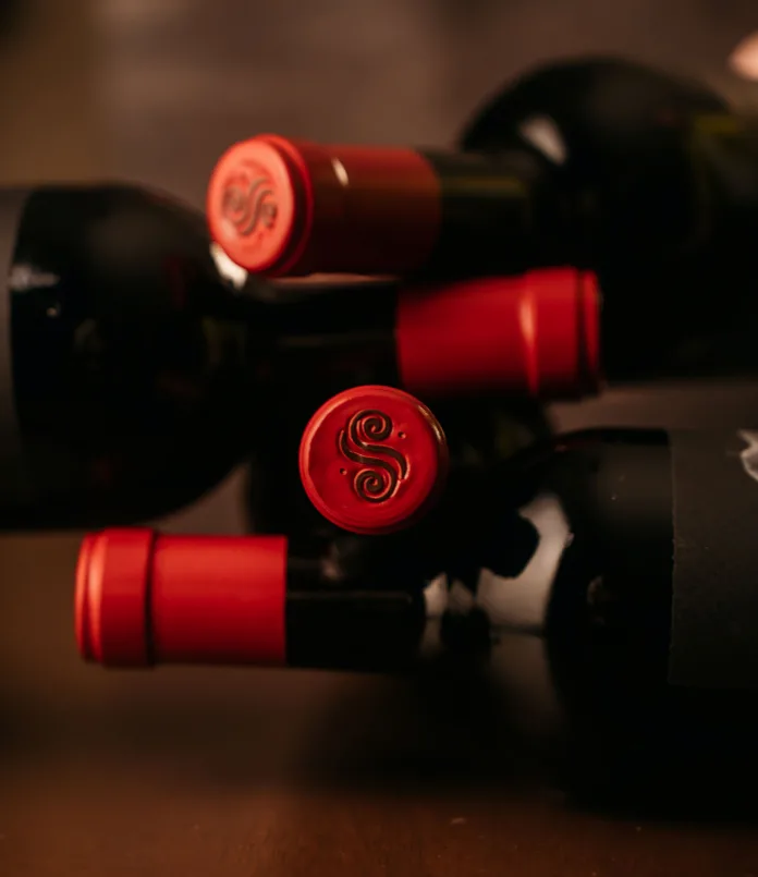 dsc08982 South Africa makes world-class winemakers. Does it make world-class wine businesses? Image supplied by PR company for Vinimark.