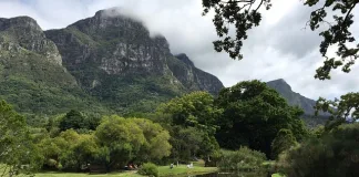 Kirstenbosch National Botanical Garden - South African Tree Symposium (SATS)