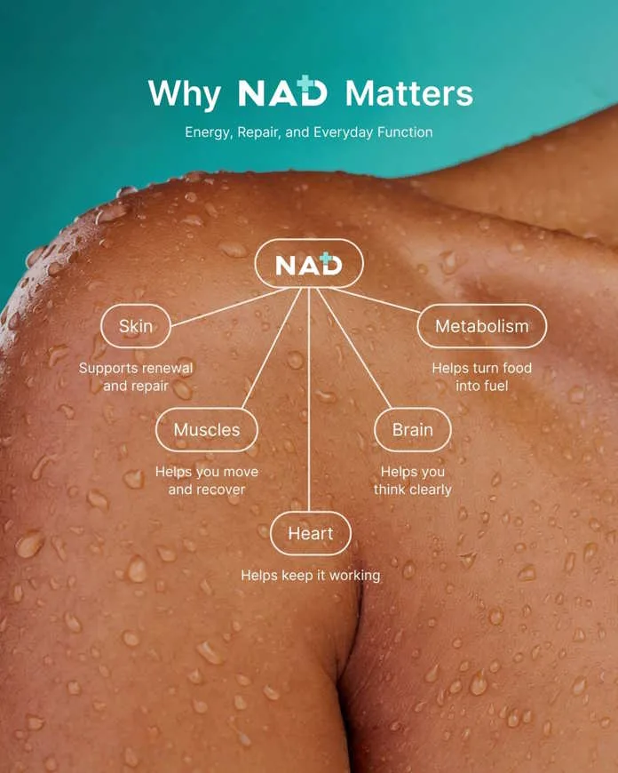 Why NAD matters. Image supplied by PR company.