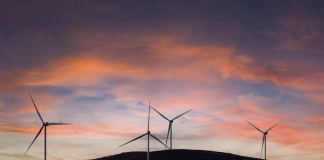 Eco-Hubs set to enable the next generation of green entrepreneurs in the Central Karoo