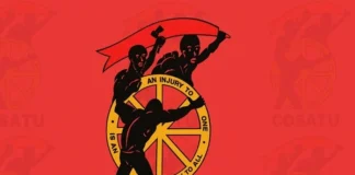 COSATU Faces Deepening Crisis Ahead of 15th National Congress Amid Leadership Battles and Alliance Tensions