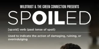 South African Conservation Documentary ‘SPOILED’ Wins Top Sustainability Award at International Film Festival in Spain
