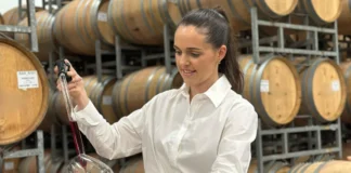 Inside the World of Winemaker Dominique Modena A Path That Began Far From the Vineyards