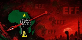 EFF Targets Key Municipalities in 2026 Local Government Elections, Says Deputy President Godrich Gardee