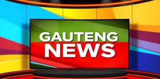 Opinion Polls in South Africa Politics: How the 2024 Election Shifted Voter Strategy