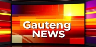 Andile Lungisa Takes Fikile Mbalula to Court Over ANC Candidate List Removal in Nelson Mandela Bay