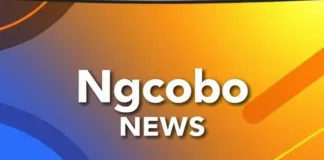 Ngcobo Taxi Shutdown and Intercape Bus Dispute Leave Eastern Cape Residents Stranded