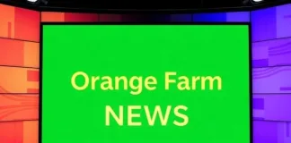 Orange Farm Residents Demand Basic Services as Cyril Ramaphosa Campaigns Amid Severe Water Shortages