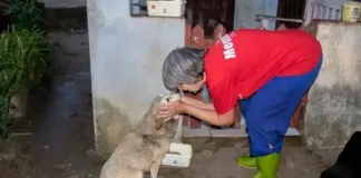 Scottburgh animal rescue appeals for community support as costs of saving lives mount