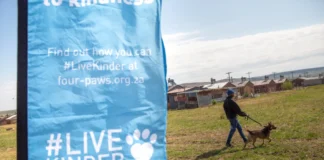 Stronger Together to End Rabies