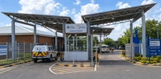R42.4 Million Asset Freeze Granted in Tembisa Hospital Corruption Scandal