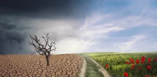 Deep-time fossil records reveal a narrow, three-generation window to address the escalating climate crisis.