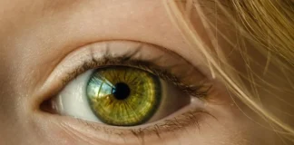 Living Well with Sight Loss: Retina South Africa marks World Retina Week as new treatments offer fresh hope