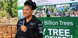 South Africa Plants 7 Million Trees in Presidential One Billion Trees Programme Milestone