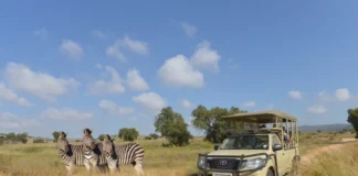 A Wild Family Adventure Awaits at Lion & Safari Park These School Holidays