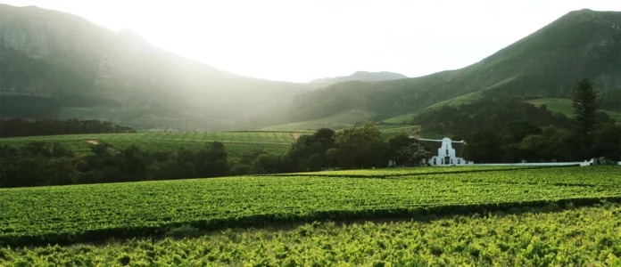 Groot Constantia Builds on Legacy as New CEO is Appointed Groot Constantia Builds on Legacy as New CEO is Appointed