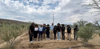 Brandvalley and Rietkloof Wind Farm Community Roots Project moves from launch to action as Central Karoo youth build pathways to green enterprise
