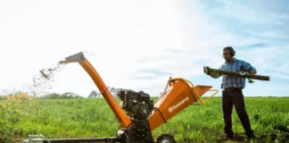 PRUNED, FELLED, CLEARED — NOW WHAT?