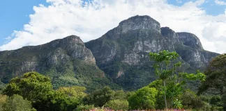 Kirstenbosch National Botanical Garden