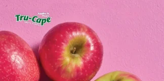 Tru-Cape strengthens position as leading South African Pink Lady® supplier to Europe Tru-Cape strengthens position as leading South African Pink Lady® supplier to Europe