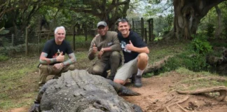 KZN South Coast’s celebrity croc Henry gets another international screen appearance