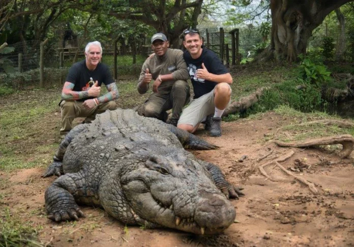 KZN South Coast’s celebrity croc Henry gets another international screen appearance KZN South Coast’s celebrity croc Henry gets another international screen appearance