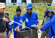 Major Durban Mangrove Clean-Up Advances at Bayhead Heritage Site