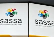 SASSA Revises November 2026 Social Grant Payment Dates Ahead of Local Government Elections