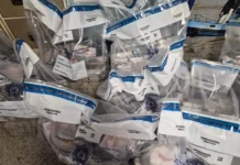 Massive R200 Million Cocaine Seizure at OR Tambo International Airport Disrupts Trafficking Networks Massive R200 Million Cocaine Seizure at OR Tambo International Airport Disrupts Trafficking Networks