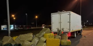 R12 Million Middelburg Dagga Bust Ends in Failed Bribery Attempt