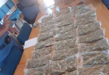 Limpopo Police Seize R100,000 Worth of Dagga and Illicit Cigarettes in Sekhukhune Arrest