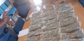 Limpopo Police Seize R100,000 Worth of Dagga and Illicit Cigarettes in Sekhukhune Arrest Limpopo Police Seize R100,000 Worth of Dagga and Illicit Cigarettes in Sekhukhune Arrest