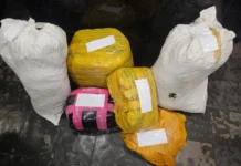 Primrose Dagga Arrest: Two Tanzanian Nationals Held After Intelligence-Led Operation Primrose Dagga Arrest: Two Tanzanian Nationals Held After Intelligence-Led Operation