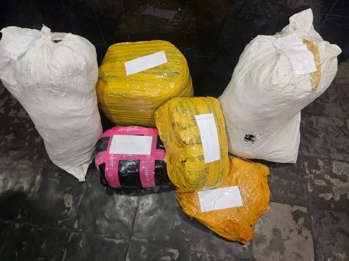 Primrose Dagga Arrest: Two Tanzanian Nationals Held After Intelligence-Led Operation Primrose Dagga Arrest: Two Tanzanian Nationals Held After Intelligence-Led Operation