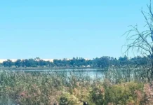 Tragic Conclusion to Search for Welkom Missing Educator Gert Adams